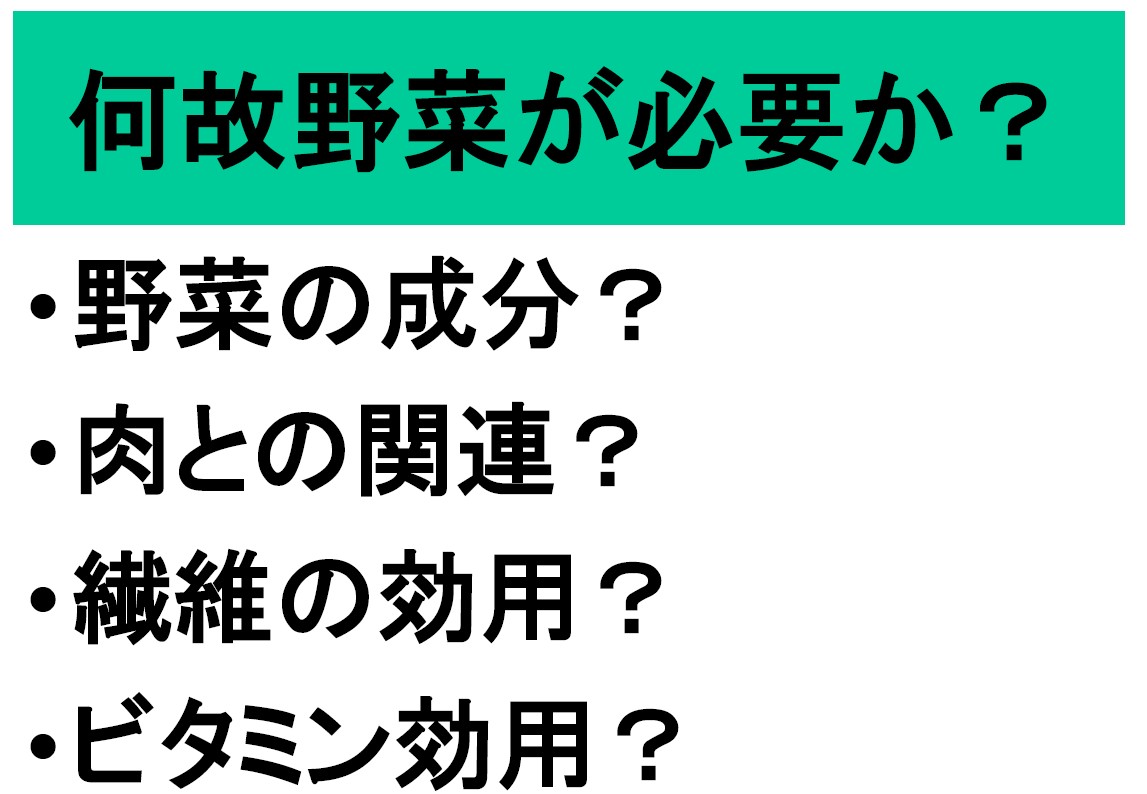 野菜についてのスライド